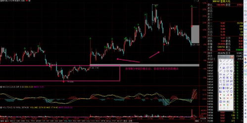 雷曼光電 深耕LED顯示領域，COB技術引領光電科技新浪潮